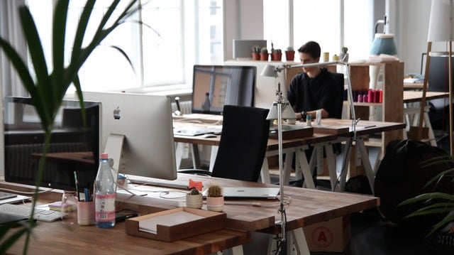 adult on computer in office
