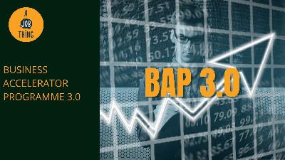 Cover image for What You Need to Know About Business Accelerator Programme 3.0