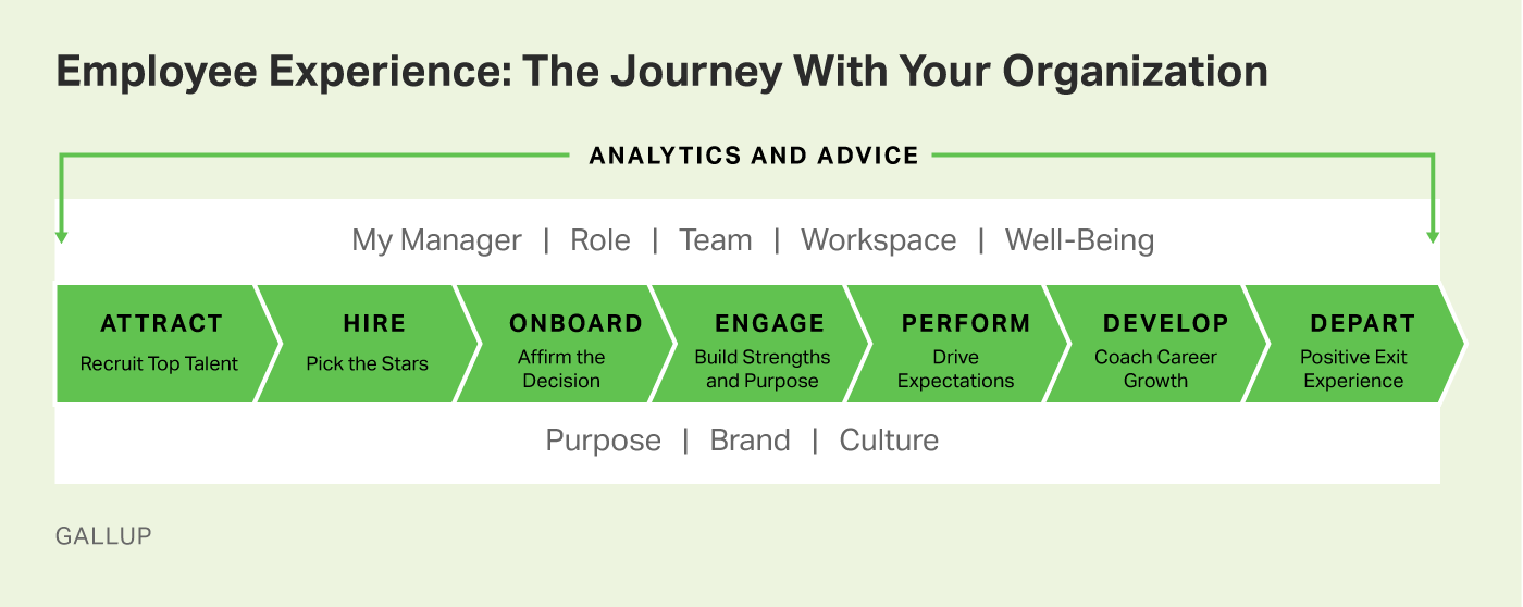 employee experience gallup