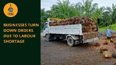 Cover image for Businesses Had to Turn Down Orders Due to Labour Shortage