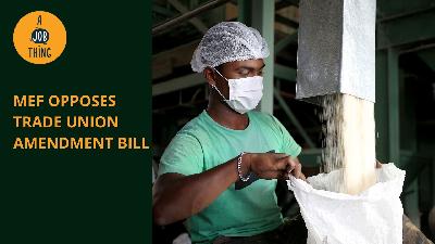 Cover image for MEF Opposes Trade Union Amendment Bill