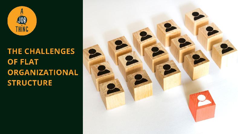 The Challenges of Flat Organisation and Its Structure