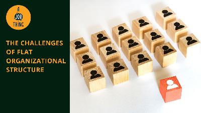 Cover image for The Challenges of Flat Organisation and Its Structure