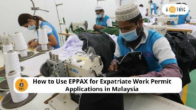 Cover image for How to Use EPPAX for Expatriate Work Permit Applications in Malaysia