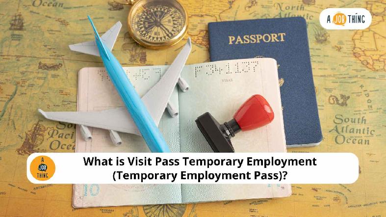 What is Visit Pass Temporary Employment (Temporary Employment Pass)?