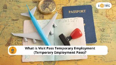 Cover image for What is Visit Pass Temporary Employment (Temporary Employment Pass)?