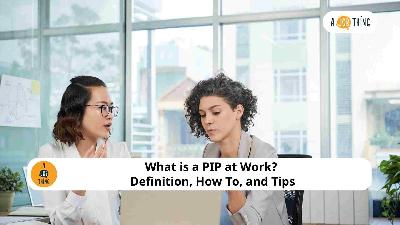 Cover image for What is a PIP at Work? Definition, How To, and Tips
