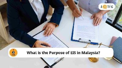 Cover image for What is the Purpose of EIS in Malaysia?